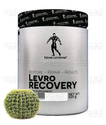 LEVRONE Levro Recovery / 525г / кактус