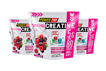 PowerPro Creatine Maximum Recovery / 400г / дикая ягода