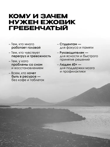 Mantra Ежовик гребенчатый / 120 капсул - Cлайд 3