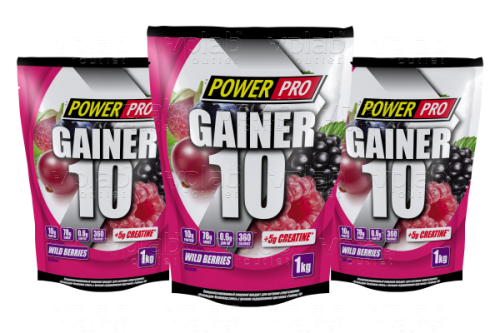 PowerPro GAINER 10 / 1кг / лесные ягоды
