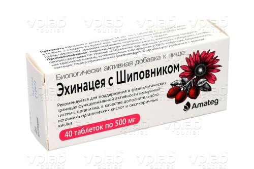 Аматег Эхинацея с шиповником / 40 таб