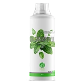 Nature Foods Liquid Chlorophyll / 500мл / мята