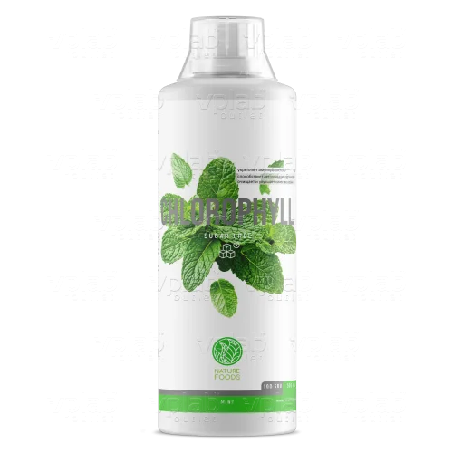 Nature Foods Liquid Chlorophyll / 500мл / мята